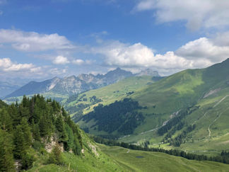 view